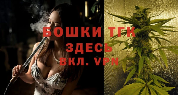 гидра Алексеевка