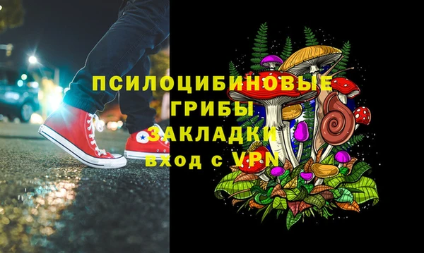 молекула духа Алексин