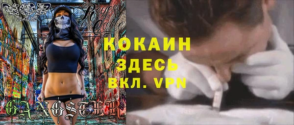 гидра Алексеевка