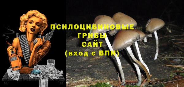 гидра Алексеевка